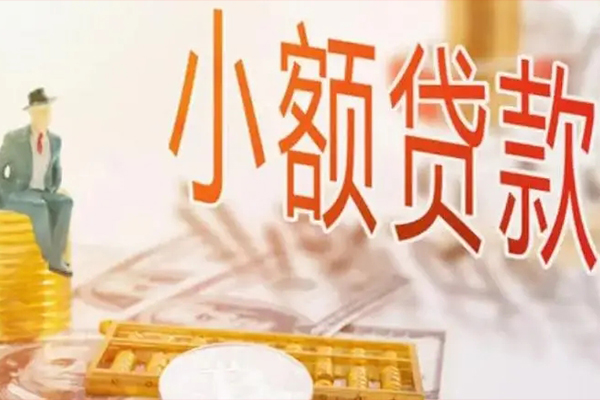 成都龙泉驿区私借贷款